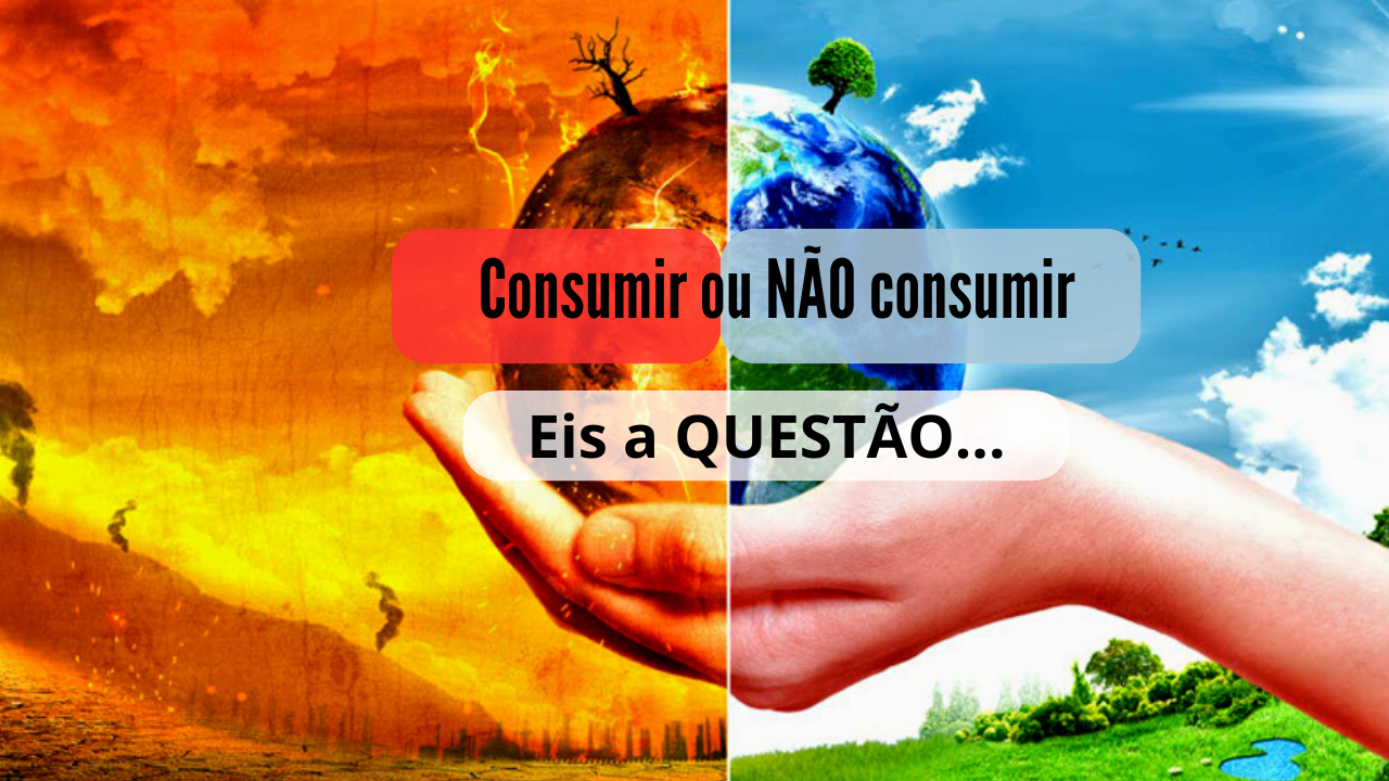 crise econômica e o consumo consciente sustentável