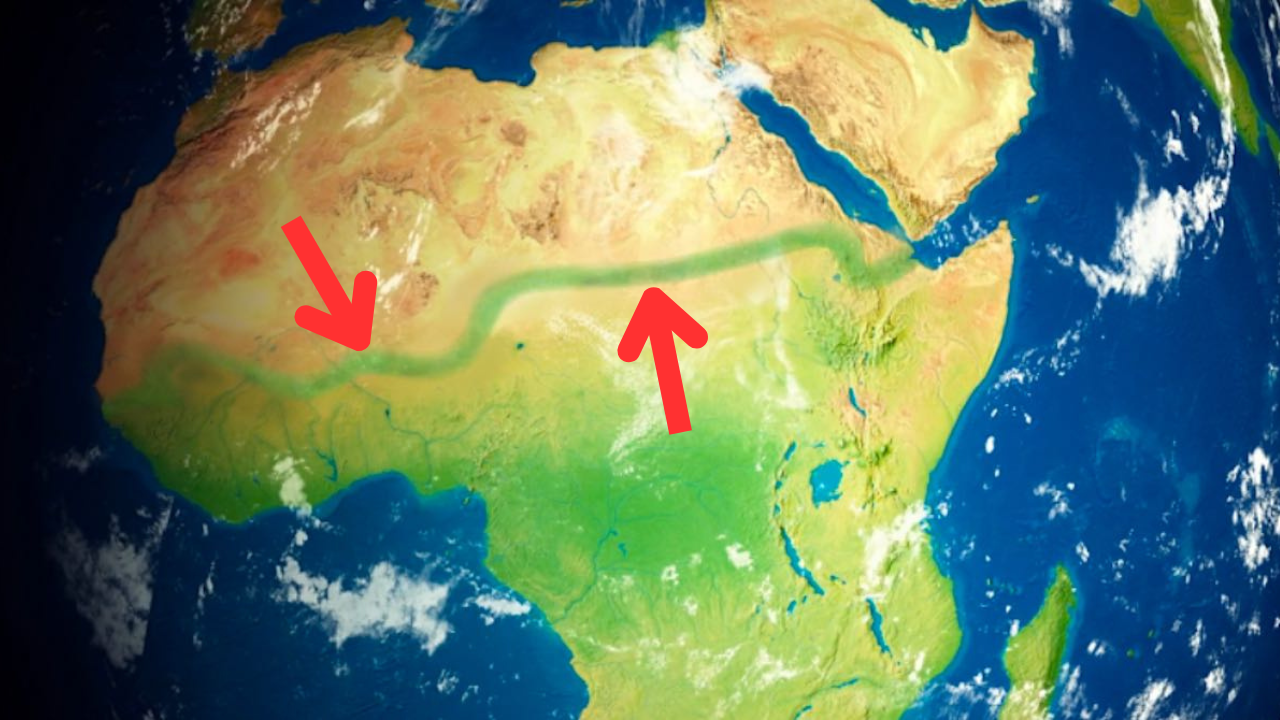 Desertificação e a grande muralha verde na África