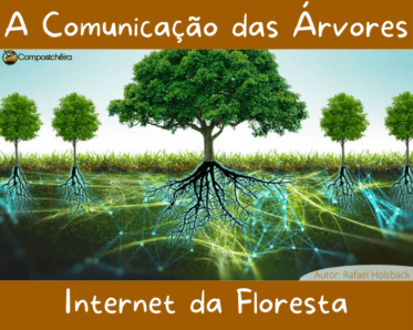 Internet das florestas pelas raízes