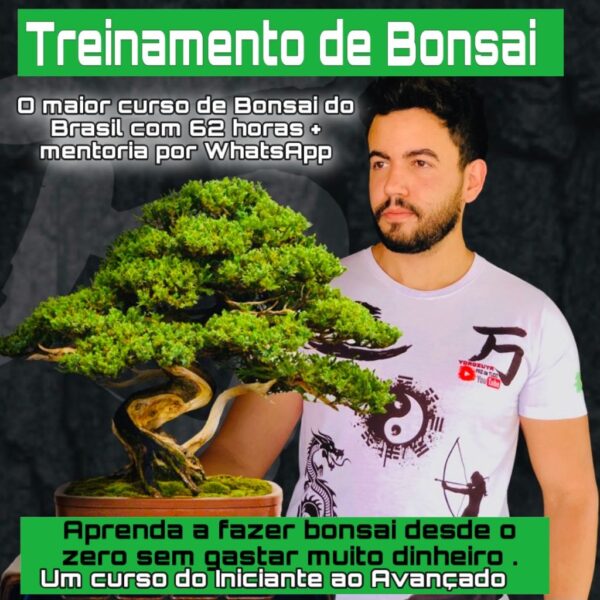 curso de bonsai
