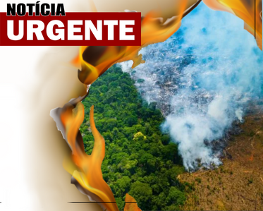 Desmatamento e queimadas no Brasil