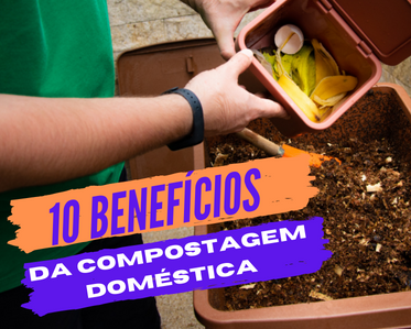benefícios em fazer compostagem doméstica