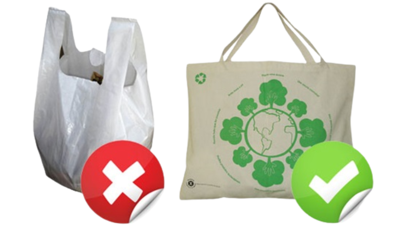 Lei Municipal sobre sacola plástica