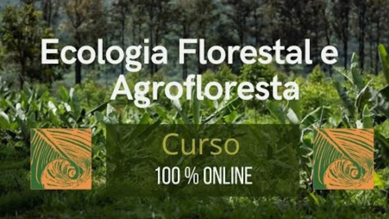CURSO: Ecologia Florestal e Agrofloresta(agricultura regenerativa)